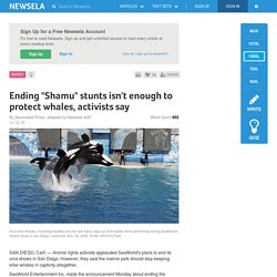 Ending "Shamu" stunts isn't enough to protect whales, activists say