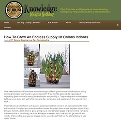 How To Grow An Endless Supply Of Onions Indoors
