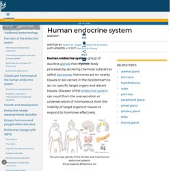Topic 8: The endocrine system | Pearltrees