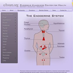 Endocrine Awareness Center for Health