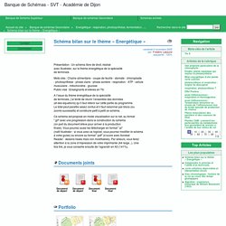 Schéma bilan sur le thème « Energétique » - Banque de Schémas - SVT - Académie de Dijon