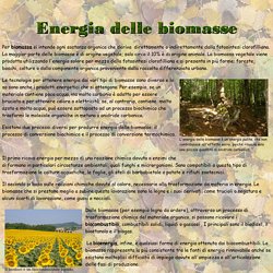 Energia delle biomasse