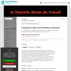 LA NOUVELLE REVUE DU TRAVAIL - 2021 - L'énergiculteur, figure de la diversification en agriculture