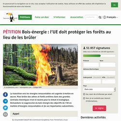 Bois-énergie : l’UE doit protéger les forêts au lieu de les brûler
