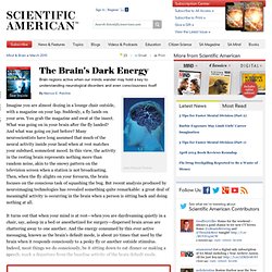 The Brain's Dark Energy