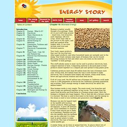 The Energy Story - Chapter 10: Biomass Energy
