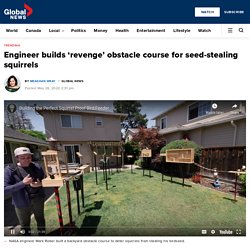 Engineer builds ‘revenge’ obstacle course for seed-stealing squirrels