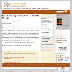 COLD SRPING HARBOR PERSPECTIVES IN BIOLOGY 10/06/19 Sub1 Rice: Engineering Rice for Climate Change
