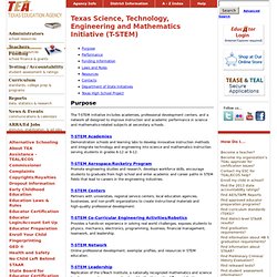 Texas Science, Technology, Engineering and Mathematics Initiative (T-STEM)