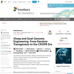 FRONT. GENET. 03/09/19 Sheep and Goat Genome Engineering: From Random Transgenesis to the CRISPR Era