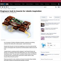 Engineers look to insects for robotic inspiration