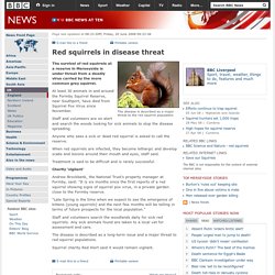 BBC 20/06/08 Red squirrels in disease threat