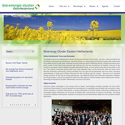 Bioenergy Cluster Eastern Netherlands