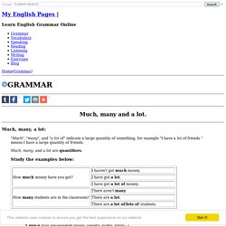 English Grammar - Much, Many or a Lot