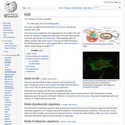 Cell