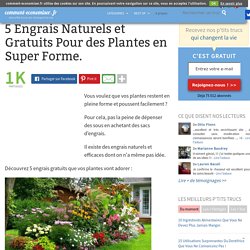 5 Engrais Naturels et Gratuits Pour des Plantes en Super Forme.