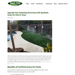 Enhance Your Pool Experience with Synthetic Grass for Pets in Tracy