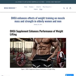DHEA enhances effects of weight training on muscle mass and strength i – Mega Muscles™