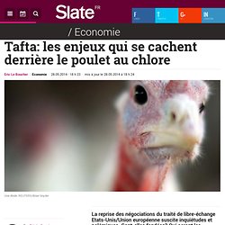 Tafta: les enjeux qui se cachent derrière le poulet au chlore