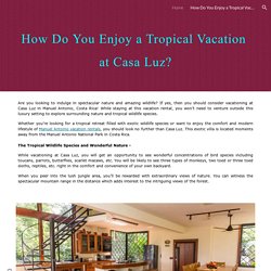 How Do You Enjoy a Tropical Vacation at Casa Luz?