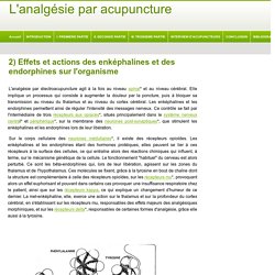 2) Effets et actions des enképhalines et des endorphines sur l'organisme