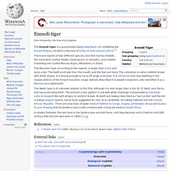 Ennedi tiger