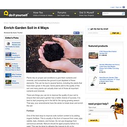 Enrich Garden Soil in 4 Ways