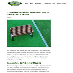 Amazing Yard Enrichment Ideas Using Pet Artificial Grass in Vacaville