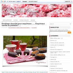 Esquimaux vanille ou pistache? enrobés de chocolat …