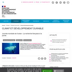 Journée mondiale de l'océan - La recherche française à la pointe - Ministère de l'Enseignement supérieur, de la Recherche et de l'Innovation