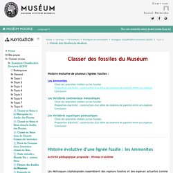 Enseigner Classification Evolution (ECEV): Classer des fossiles du Muséum