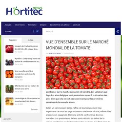VUE D'ENSEMBLE SUR LE MARCHÉ MONDIAL DE LA TOMATE - HortitecNews