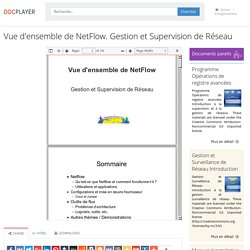 ⭐Vue d'ensemble de NetFlow. Gestion et Supervision de Réseau