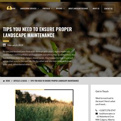 Tips You Need to Ensure Proper Landscape Maintenance