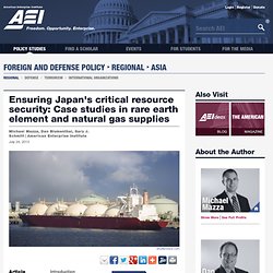 Ensuring Japan's critical resource security: Case studies in rare earth element and natural gas supplies - Foreign and Defense Policy