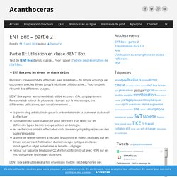 ENT Box - partie 2 - Acanthoceras
