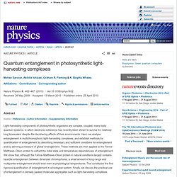 Quantum entanglement in photosynthetic light-harvesting complexes : Nature Physics