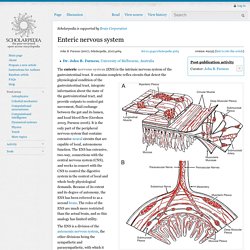 Enteric nervous system