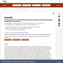 TOXINS 19/11/19 Pre-Harvest Survival and Post-Harvest Chlorine Tolerance of Enterohemorrhagic Escherichia coli on Lettuce