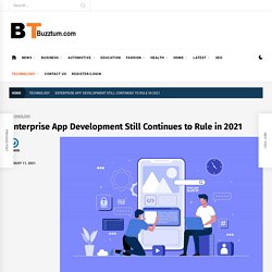 Why Enterprise App Development Still Popular In Business?