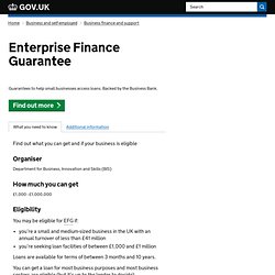 Enterprise Finance Guarantee