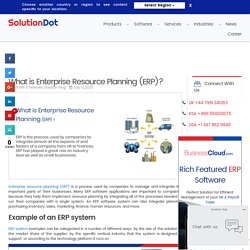 What is Enterprise Resource Planning (ERP)? - SolutionDot