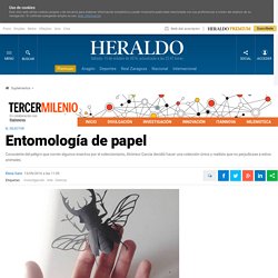 Noticias de Investigación en Heraldo.es