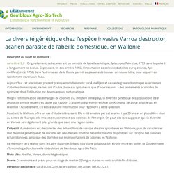 UNIVERSITE DE LIEGE 26/04/20 Sujet de mémoire proposé : La diversité génétique chez l’espèce invasive Varroa destructor, acarien parasite de l’abeille domestique, en Wallonie