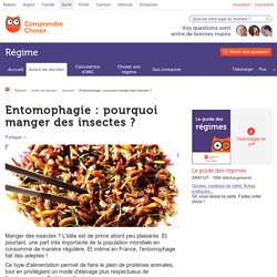 Entomophagie : pourquoi manger des insectes ?