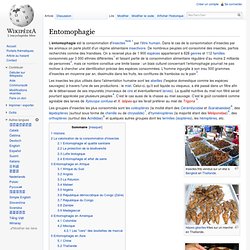 Entomophagie