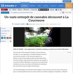 France : Un vaste entrepôt de cannabis découvert à La Courneuve