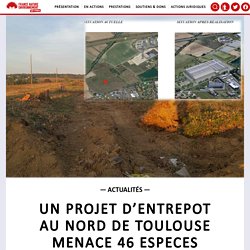 20 oct. 2021 UN PROJET D’ENTREPOT AU NORD DE TOULOUSE MENACE 46 ESPECES PROTEGEES · FNE Midi-Pyrénées