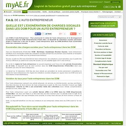 DOM Auto Entrepreneur - myAE.fr : Statut Départements d'Outre Mer