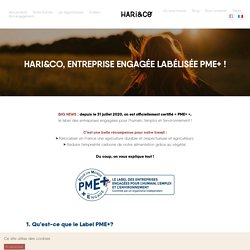 HARi&CO, entreprise engagée labélisée PME+ ⋆ Hari&co